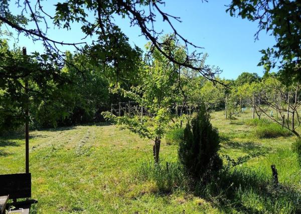 Na predaj krásna rekreačna záhradu o výmere 2169m², Pezinok