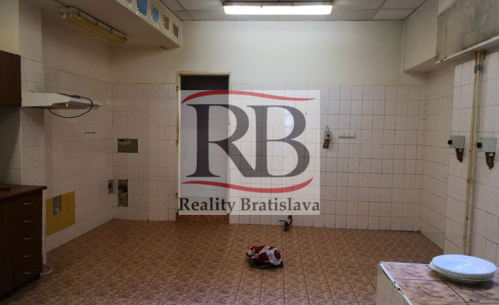 Obchodný priestor vhodný na reštauráciu, v centre, 200 m2 + 50 m2 byt - fotografia 5
