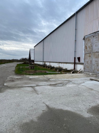 Skladová hala 3900 m2 na prenájom Trnava, Zavar - fotografia 6