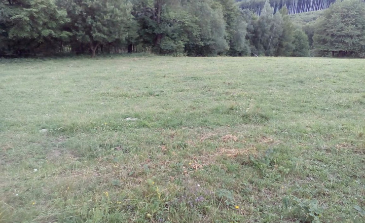 11 200 m2 Pozemok  - lúka (trvalý trávny porast ) na predaj