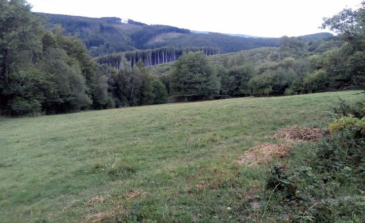 11 200 m2 Pozemok  - lúka (trvalý trávny porast ) na predaj - fotografia 1