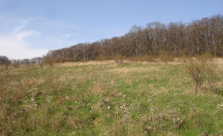 Na predaj alebo na spoločný developerský projekt výnimočný investičný pozemok  - fotografia 3