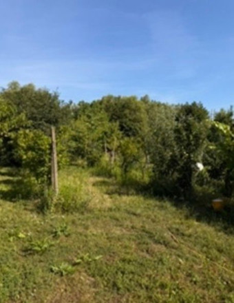 Na predaj záhrada s výmerou 444 m2, situovanú v tichej záhradkárskej oblasti  - fotografia 6