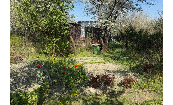 Predaj slnečnej záhrady, 330 m² – Agátová, Bratislava – Dúbravka