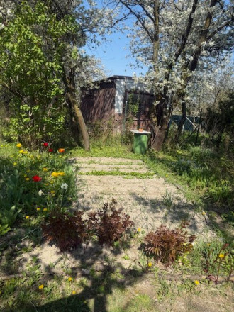 Predaj slnečnej záhrady, 330 m² – Agátová, Bratislava – Dúbravka - fotografia 2