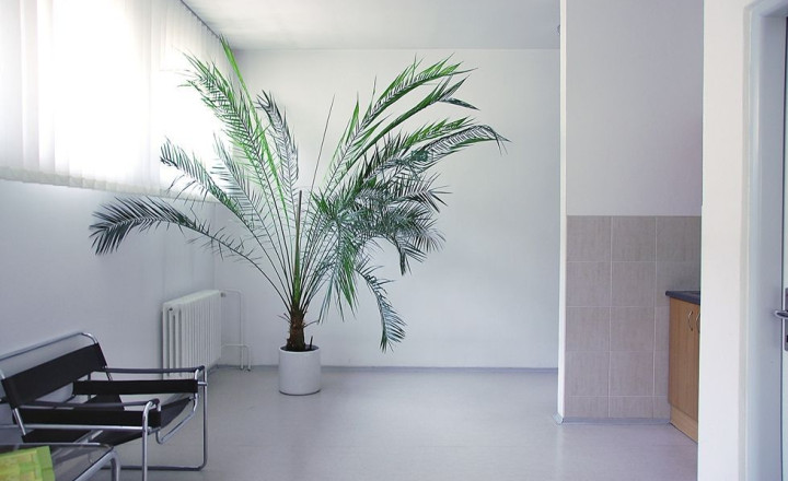 42 m2 - Administratívne priestory na PRENÁJOM, Trenčín centrum - fotografia 2