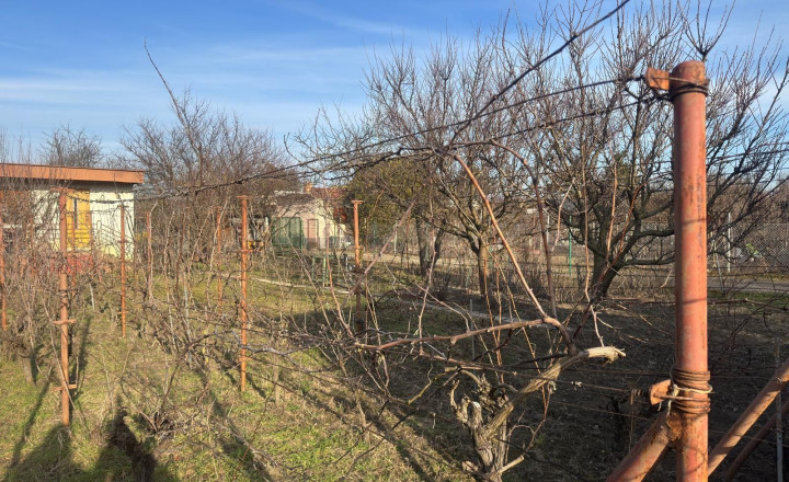 Na predaj záhrada s podpivničenou chatkou v Podunajských Biskupiciach - fotografia 3