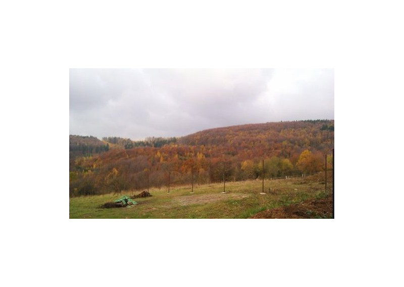 Pozemok / záhrada, na predaj, Dolná Súča, okres Trenčín